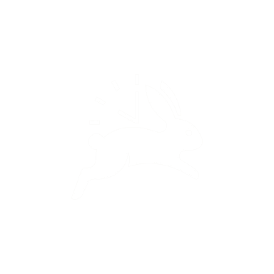 BunnyTrack Logo